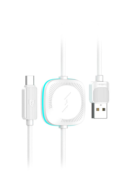 WC39 1.2M 15W Usb to Type-C ve 2.5W Kablosuz Saat Şarj Çıkışlı 2in1 Hızlı Şarj Kablosu
