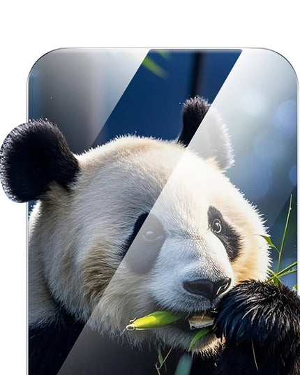 iPhone 16 Innova HD Cam Ekran Koruyucu 6