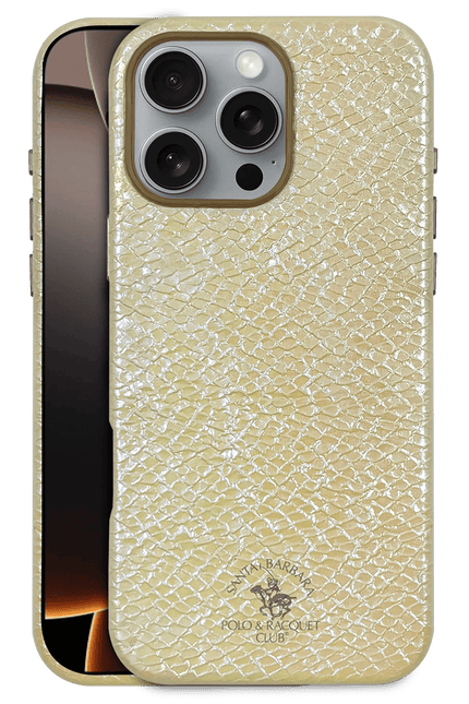 iPhone 16 Pro Tracy Magsafe Kapak Kılıf - Çöl Titanyum