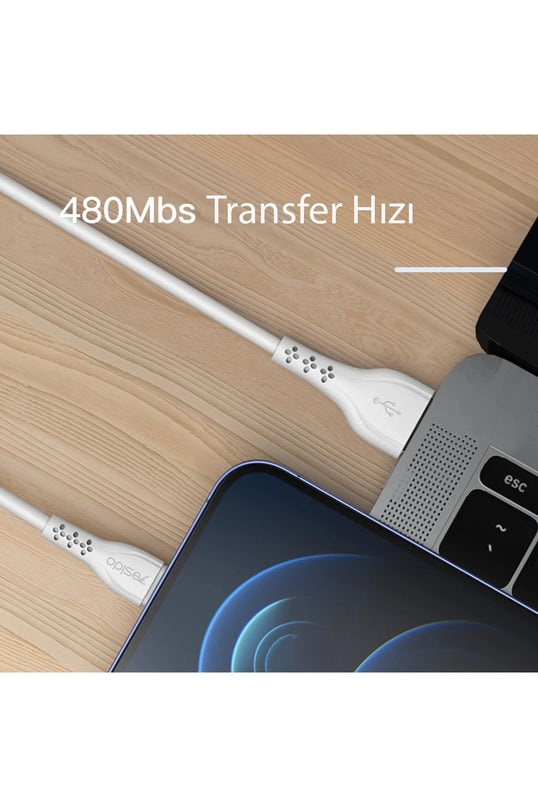 CA71 1M 2A Usb to Lightning Hızlı Şarj Kablosu 6